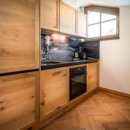 Ennsegg By Schladming-appartements Apartmán Haus im Ennstal