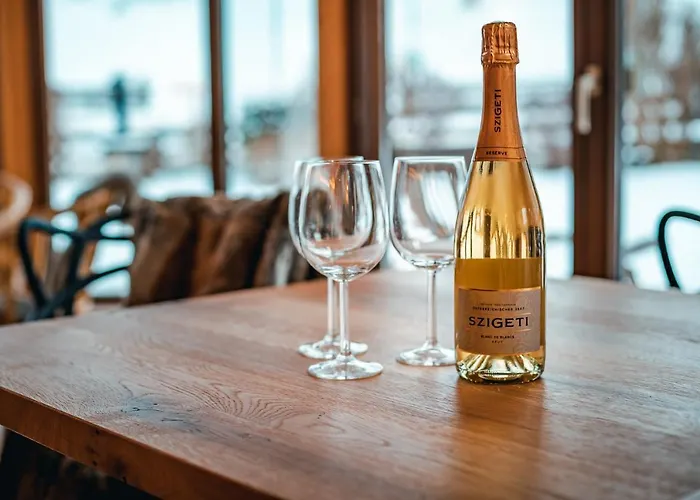 恩赛格之家斯拉德明公寓 公寓