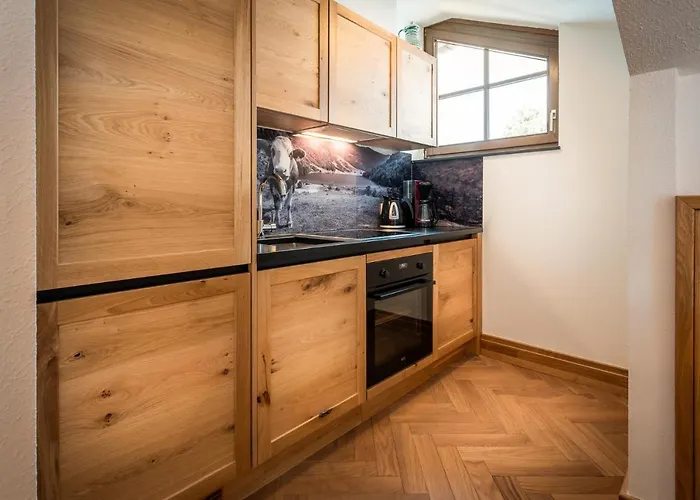 恩赛格之家斯拉德明公寓 公寓 恩斯塔尔豪斯